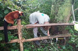 foto arbotom artis (002)V2